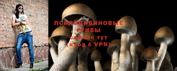сатива Алзамай