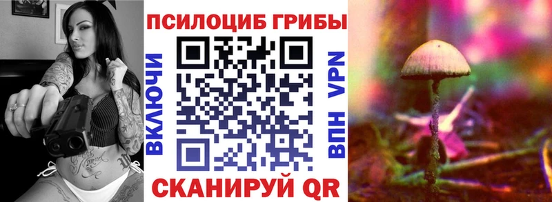 Псилоцибиновые грибы MAGIC MUSHROOMS Кудрово