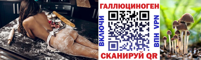 где можно купить   Кудрово  Псилоцибиновые грибы MAGIC MUSHROOMS 