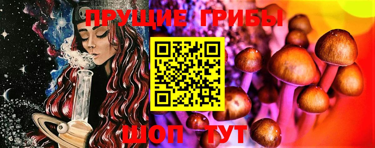 Галлюциногенные грибы Magic Shrooms  Вход с VPN  что такое наркотик  Кудрово  Галлюциногенные грибы GOLDEN TEACHER 