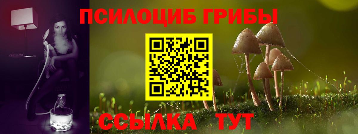 Псилоцибиновые грибы MAGIC MUSHROOMS Кудрово